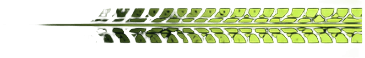 Footer right graphic